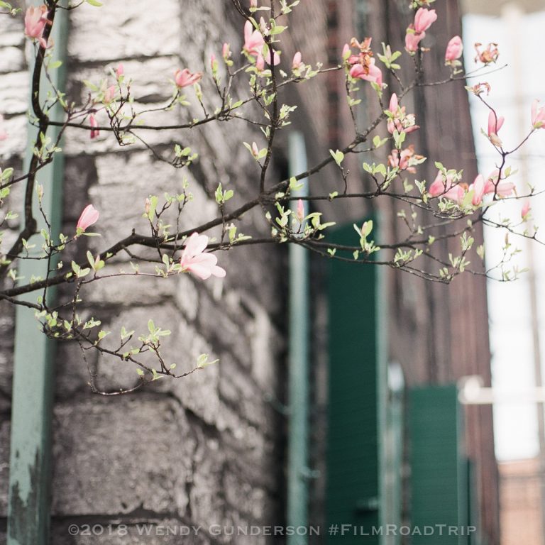 Mamiya 645 80mm f/1.9