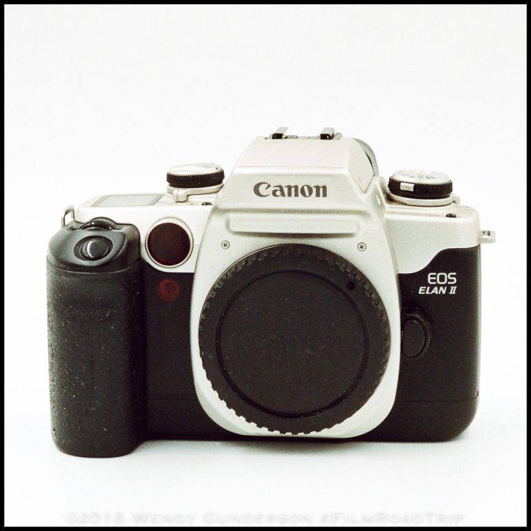 Getting Started in Film Photography for Under $50