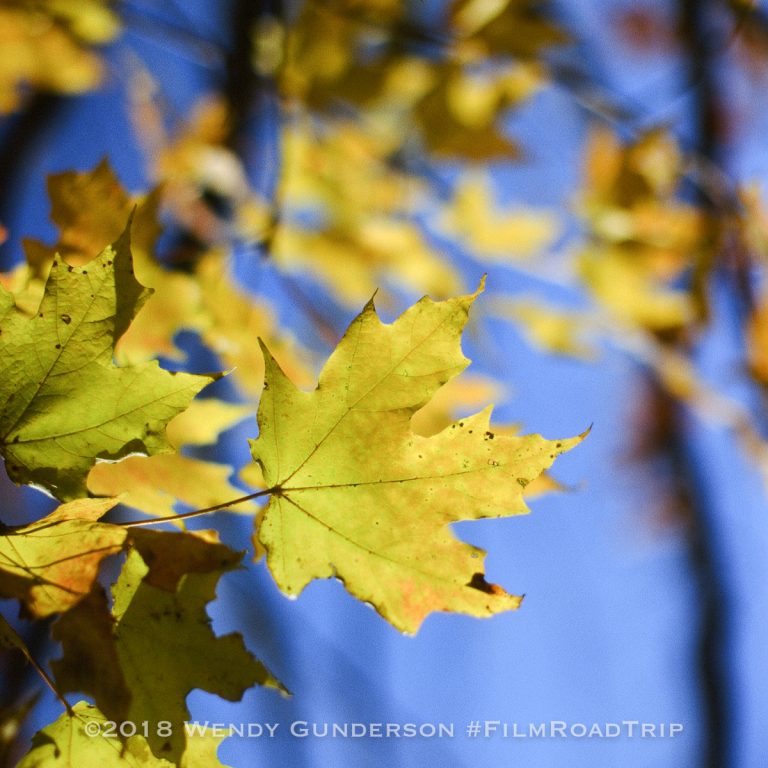 Canon 50mm f/1.2 Ektachrome