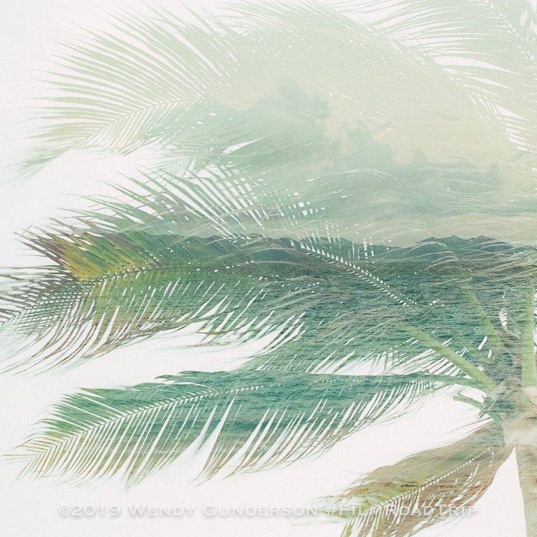 Double Exposures on Film