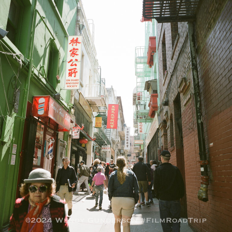 Mamiya 6 : Medium Format Film Camera for Travel