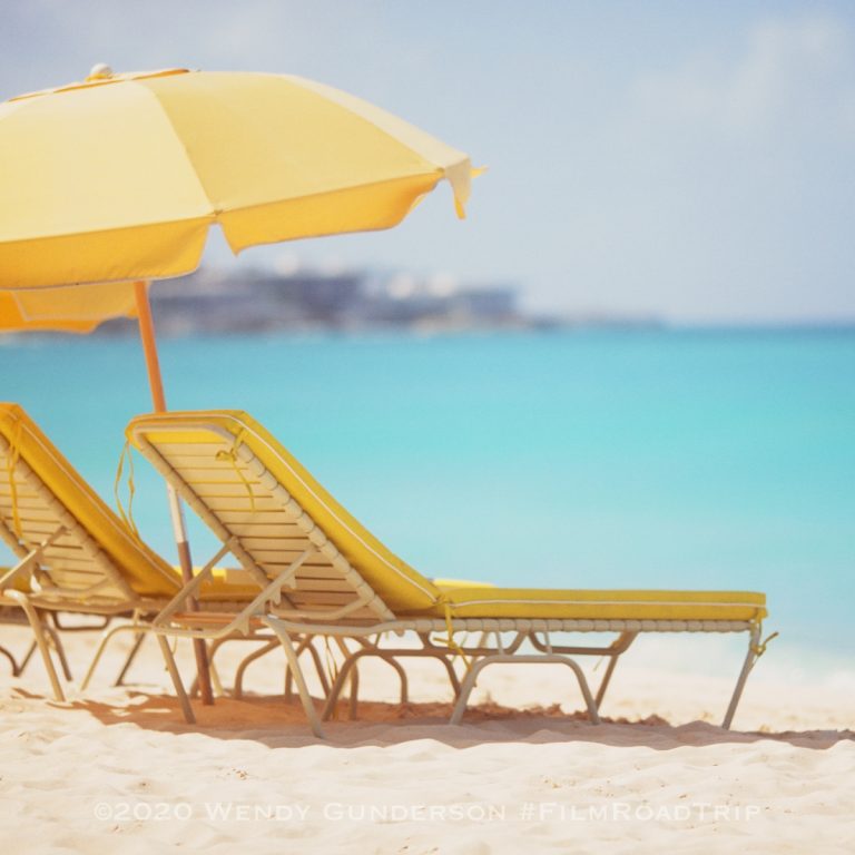 Ektar 100 v. Velvia 100