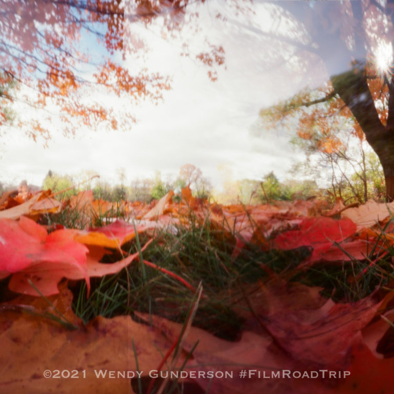 Vermeer 6×9 Pinhole