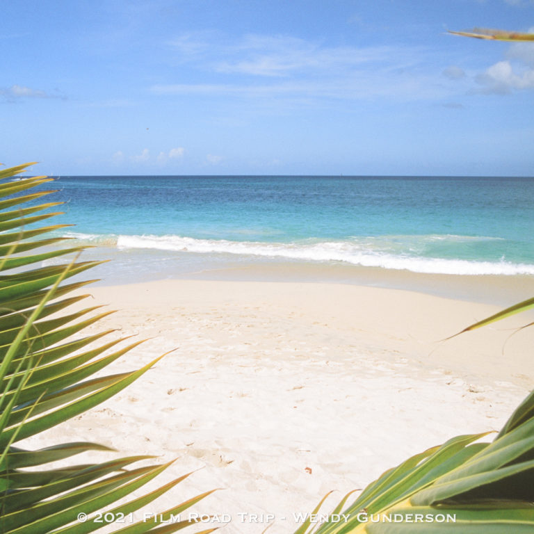 Grenada Fuji Provia RDP III 100F